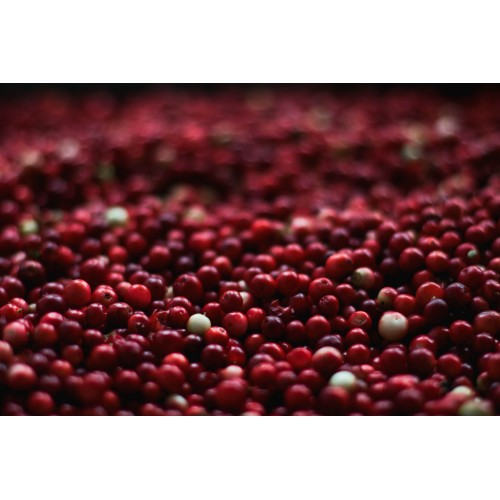 Natural Cranberry Flavor - MCT Oil Soluble