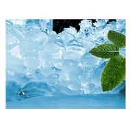 Natural & Artificial Menthol Flavor Concentrate Natural & Artificial Menthol Flavor Concentrate