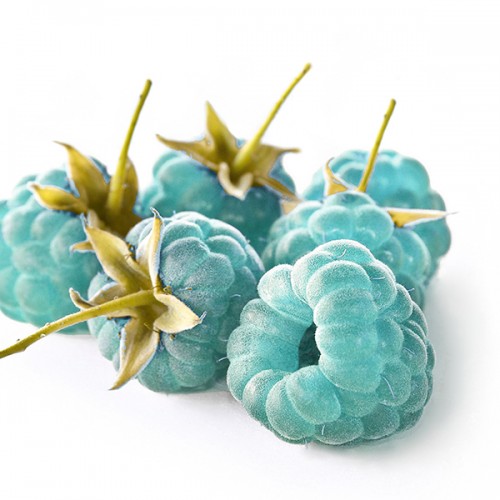 Natural Blue Raspberry Flavor - MCT Oil Soluble