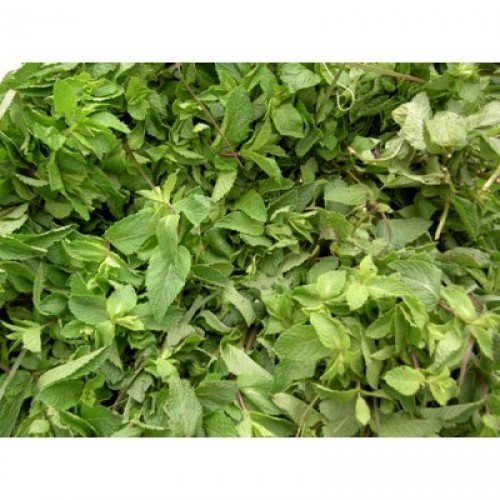 Natural Mint Flavor Concentrate Flavoring